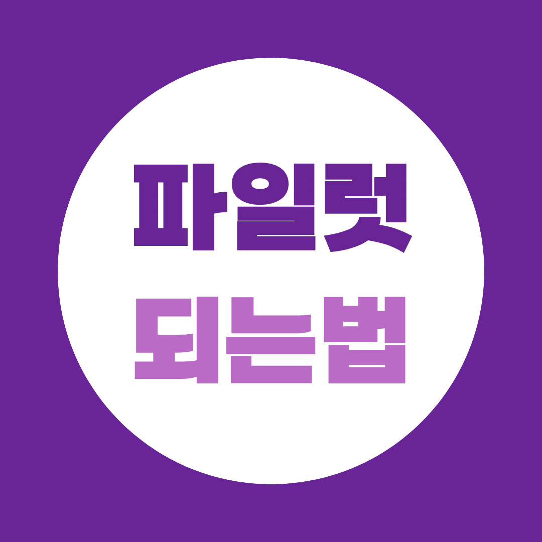 파일럿 되는법 총정리, 학위·면허·비행시간은 어떻게 준비할까?