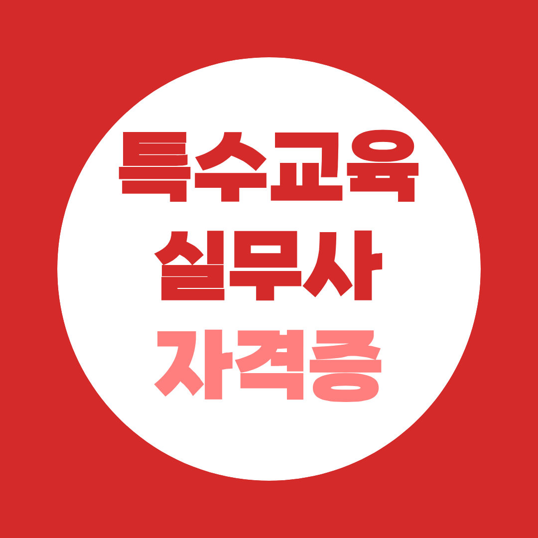 필수 조건부터 취업까지, 특수교육실무사 자격증 완벽 가이드