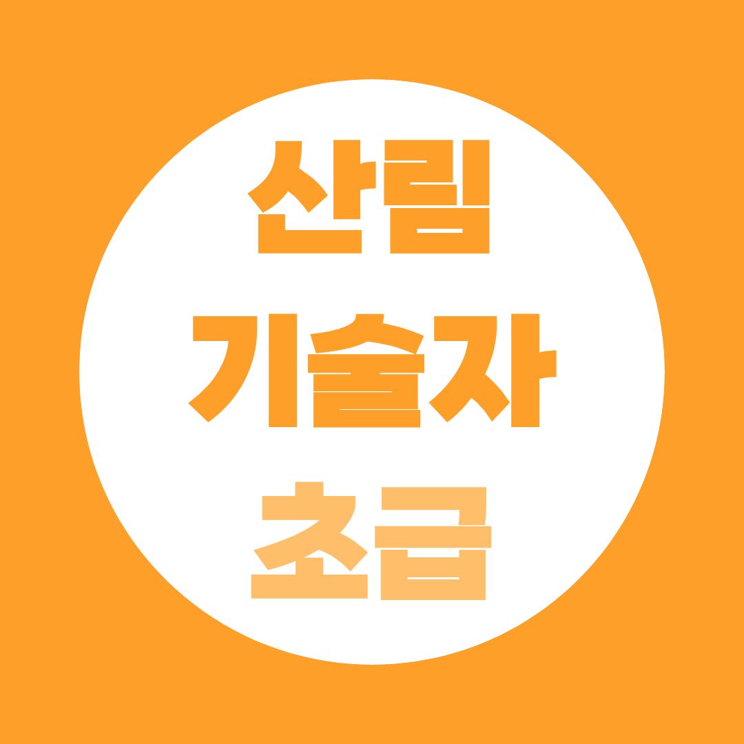 산림기술자 초급 자격조건 총정리｜기사·산업기사 이후 무엇을 해야 하나