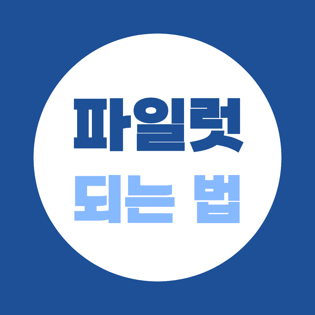 [되는 법 시리즈 ⑧] 파일럿 되는 법 - 비전공자도 가능한가요?