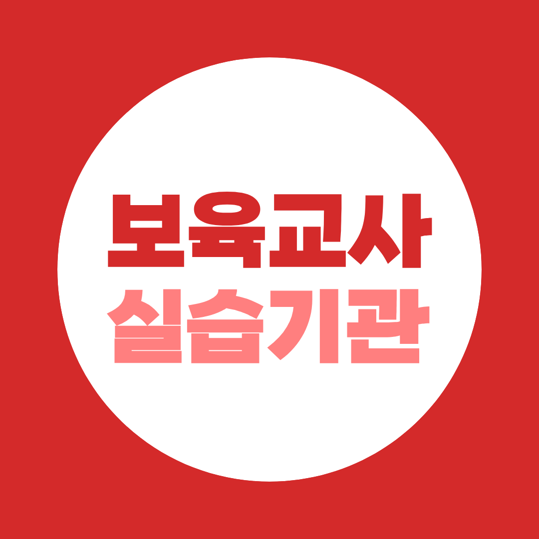 보육교사 실습기관 찾는 법, 240시간 인정받으려면 꼭 확인할 기준