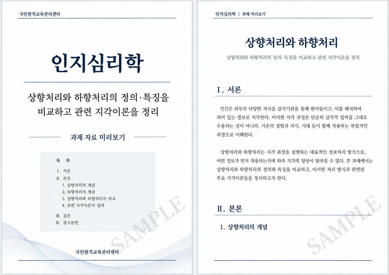 상향처리와 하향처리의 차이점 비교 및 주요 지각이론 정리 과제 작성방법 미리보기