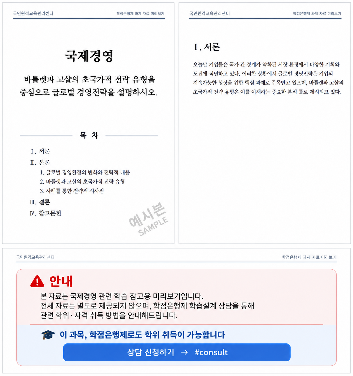 바틀렛과 고샬의 글로벌 경영전략 4가지 유형과 초국가적 전략의 특징 및 과제 작성방법 미리보기