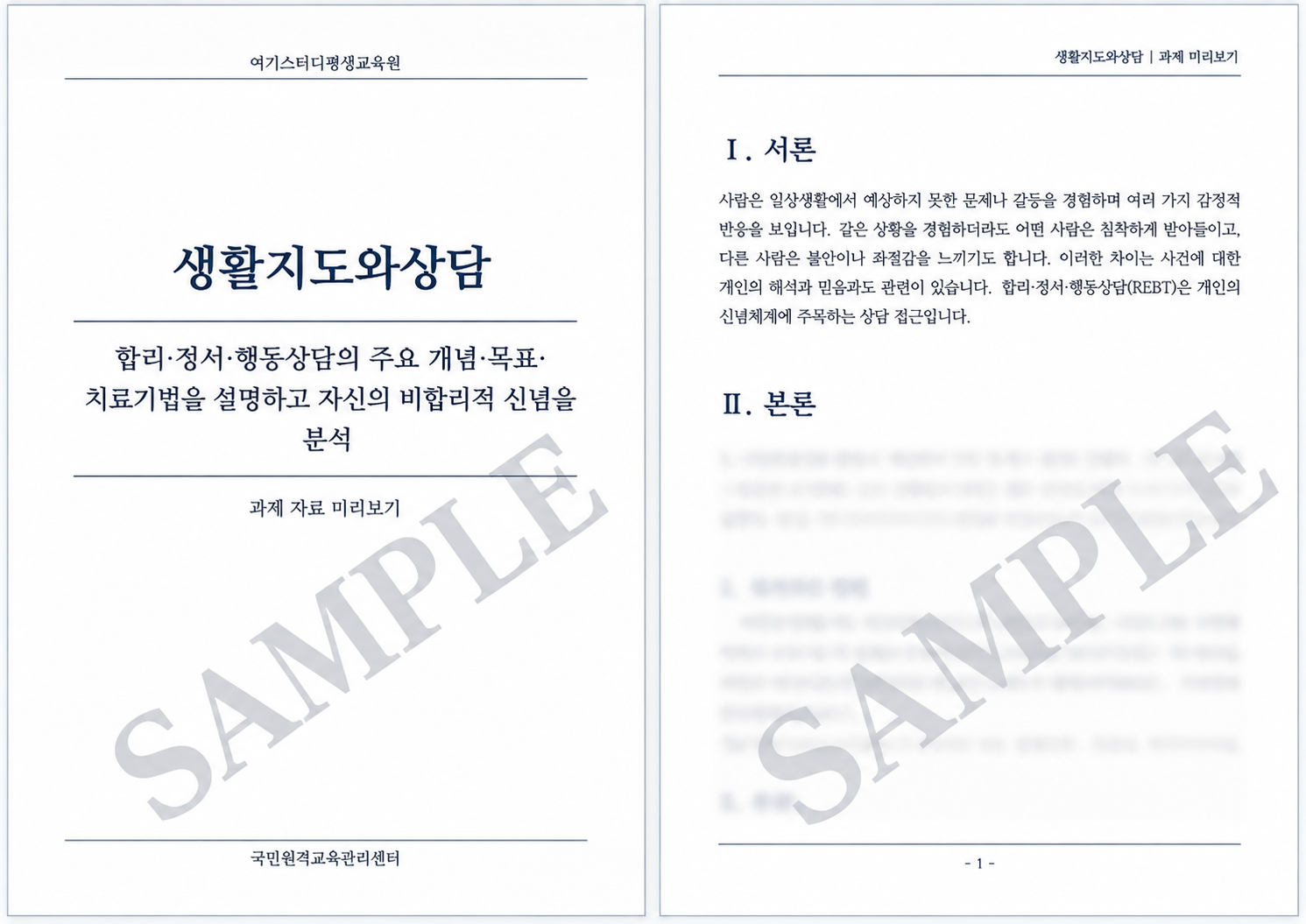 생활지도와상담 과제 | 합리정서행동상담(REBT)의 주요 개념, 상담 목표와 치료기법 및 비합리적 신념 분석 미리보기